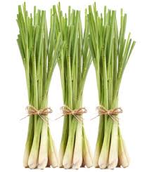 Lemongrass